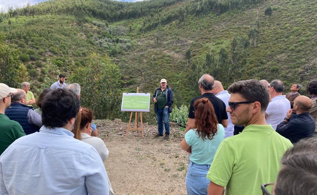 Altri Junta Propriet Rios Para Mostrar No Terreno O Trabalho De