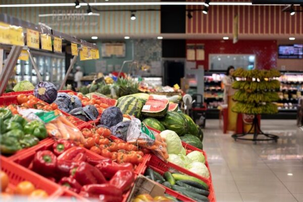 Dois terços do desperdício alimentar têm origem nas nossas casas