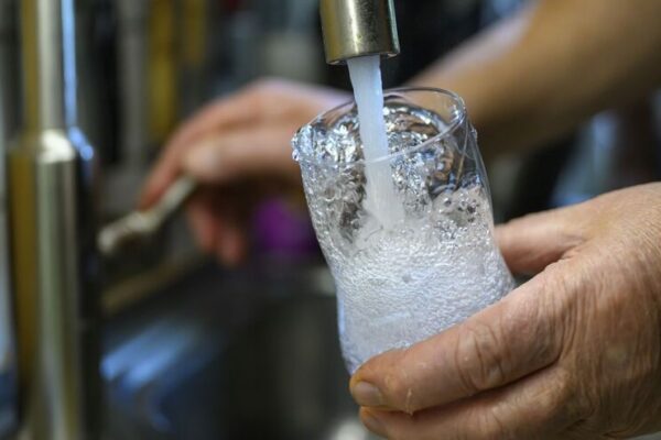 Universidade de Coimbra integra projeto europeu para combater poluição por nitratos