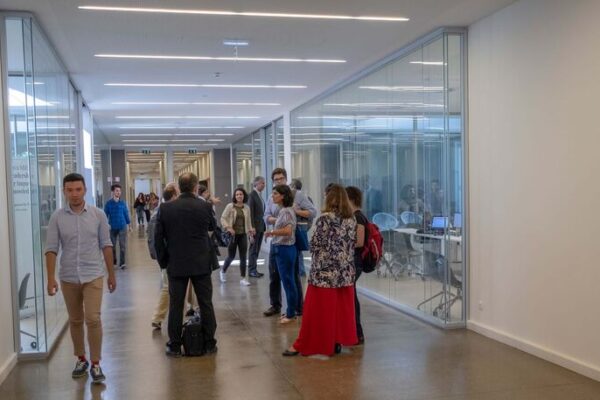 Inteligência artificial obriga universidades a reinventar-se