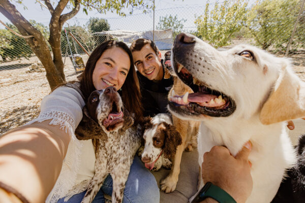 Os cães da Kokua dão assistência com amor
