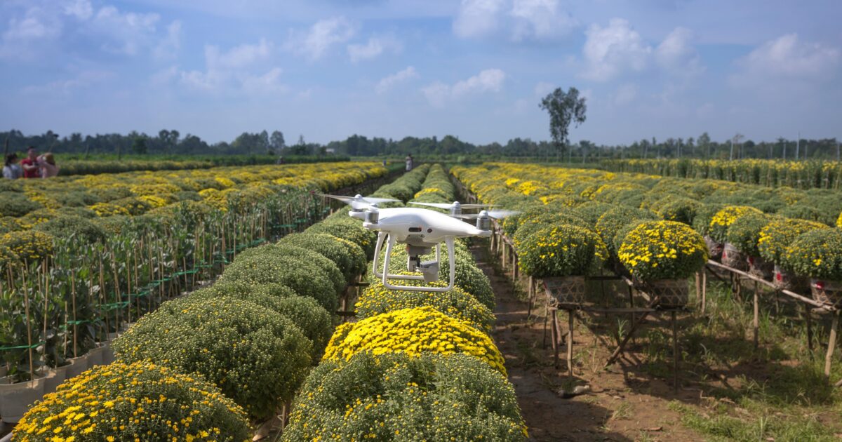 Agricultura: um desígnio nacional