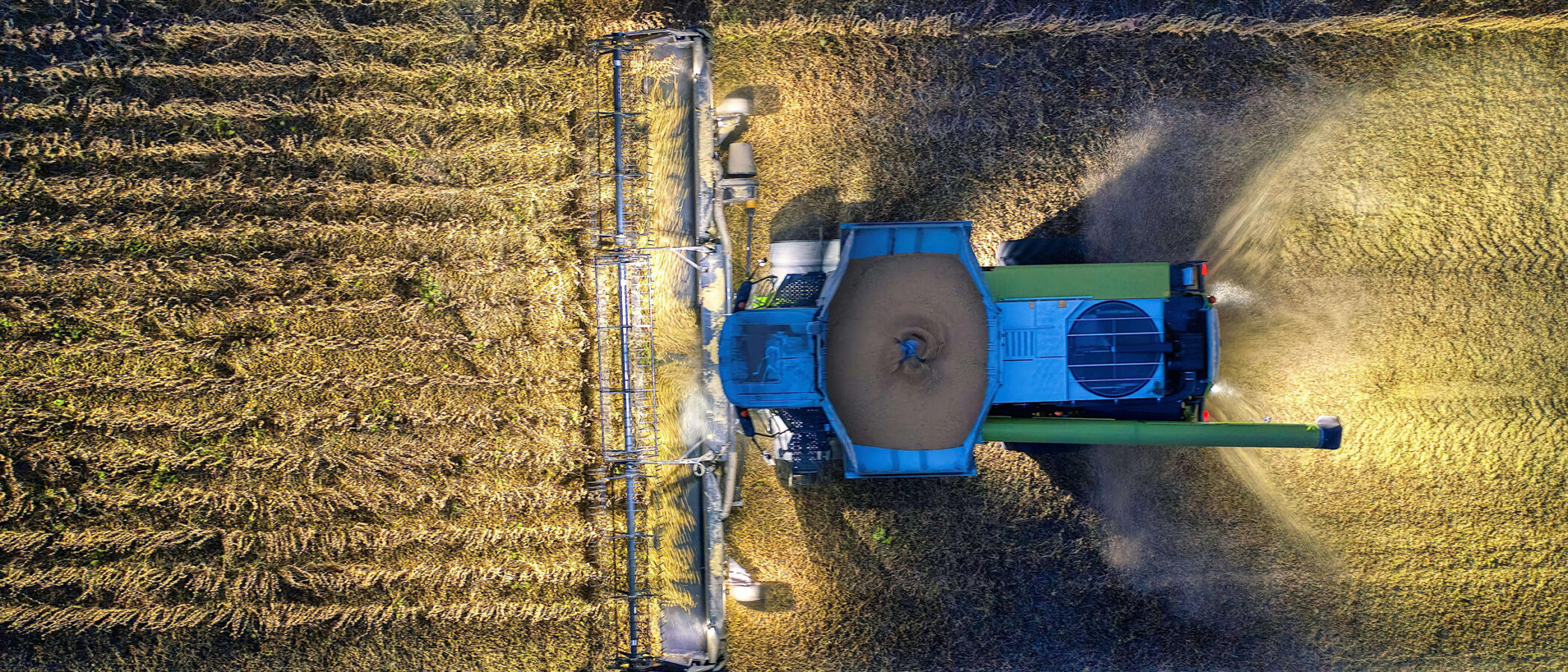 Agricultura: um desígnio nacional