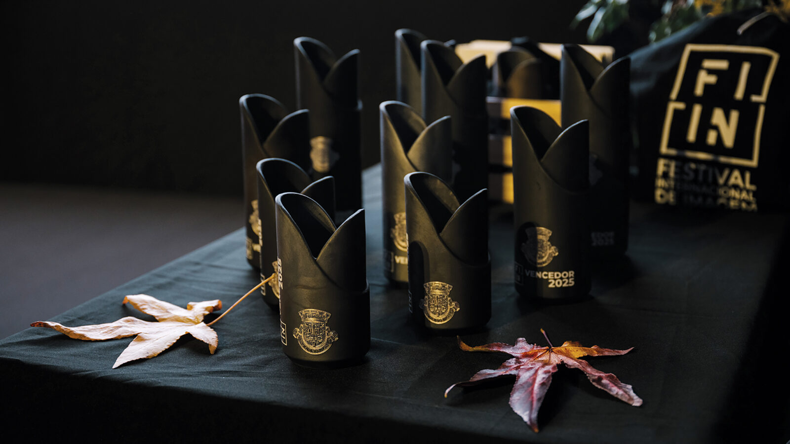 Vila Real vai ter a 10ª edição do Festival Internacional deImagem da Natureza em 2026