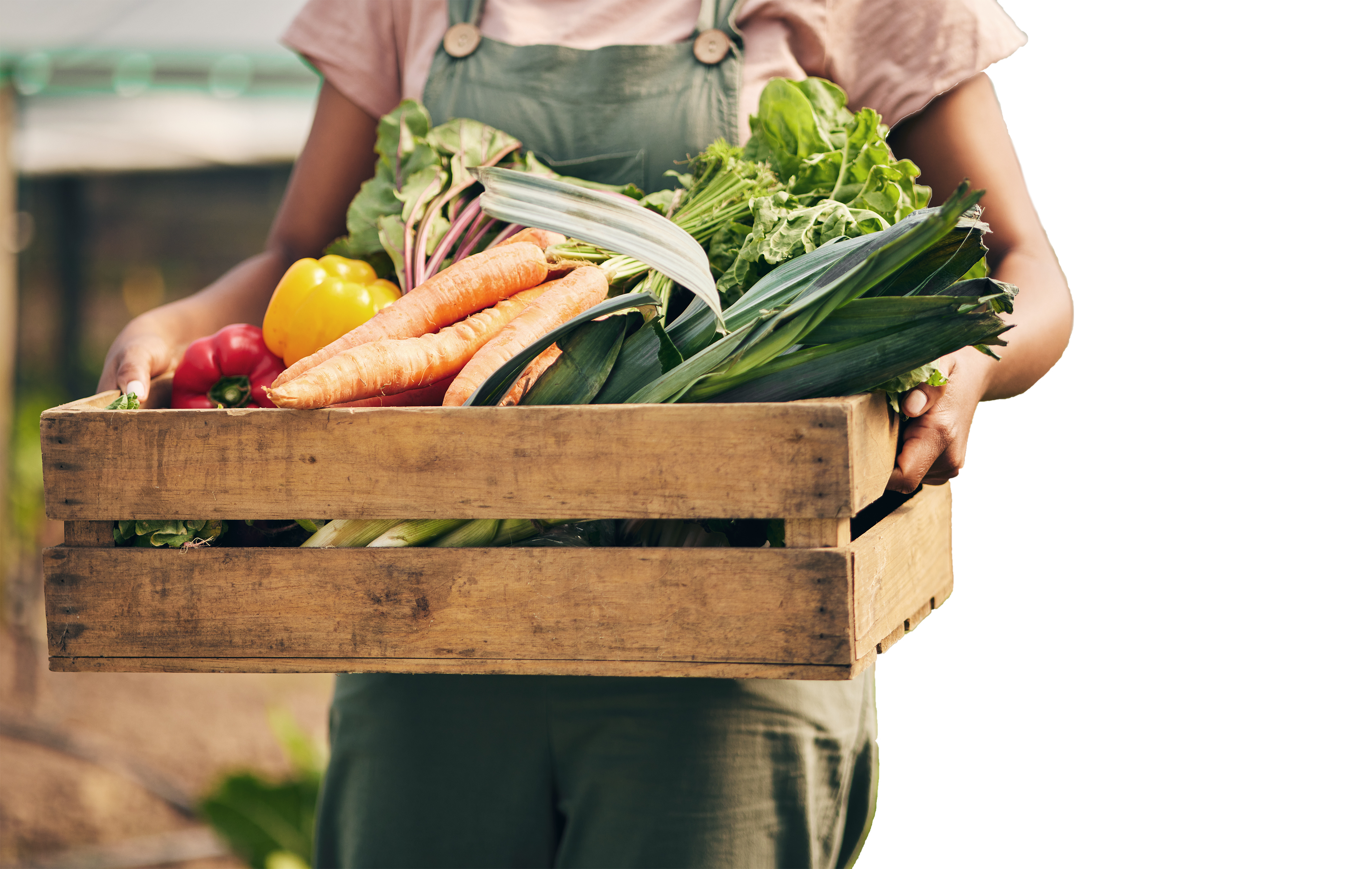 A apoiar quem produz em Portugal