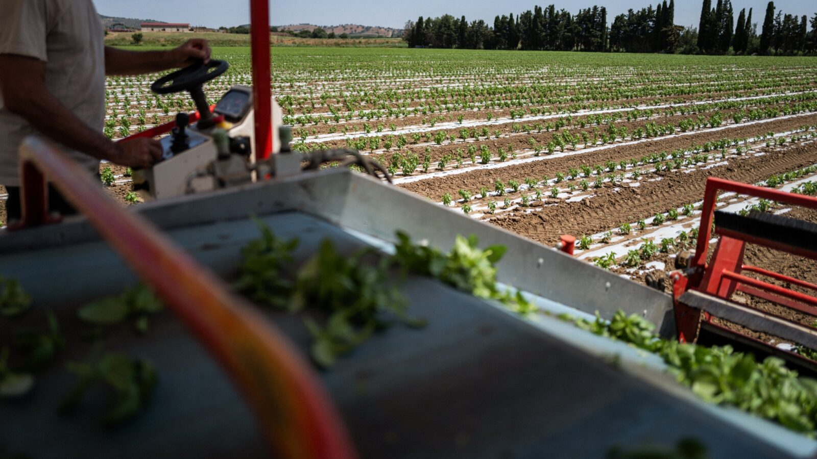Produzir não chega: o novo mapa da competitividade agroalimentar