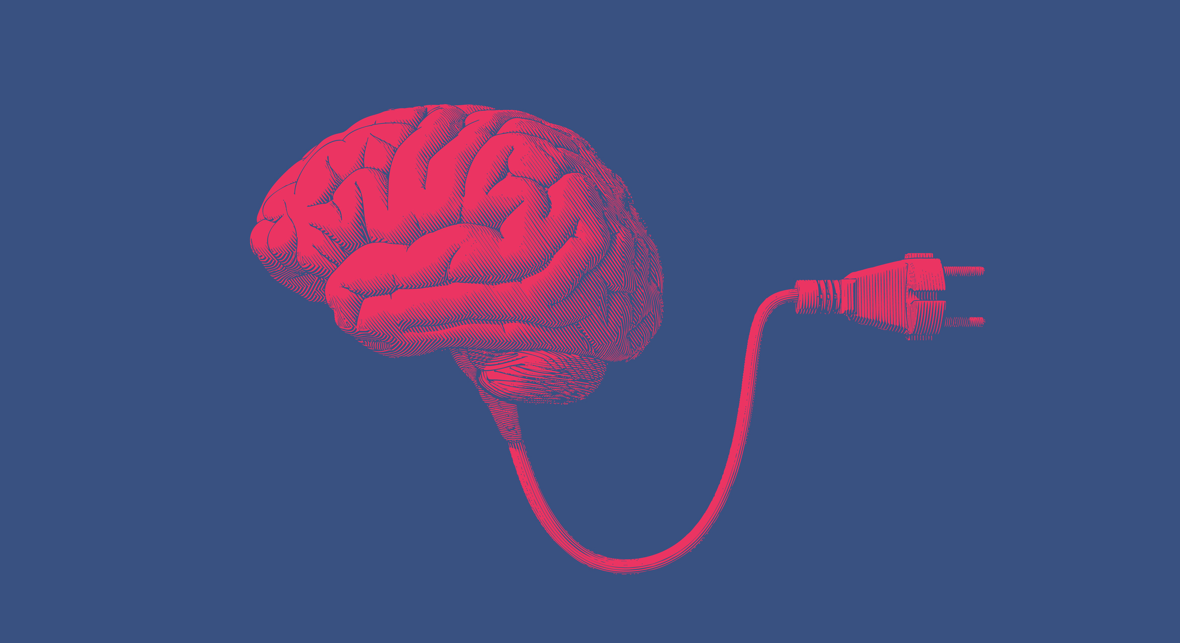 A importância da literacia energética