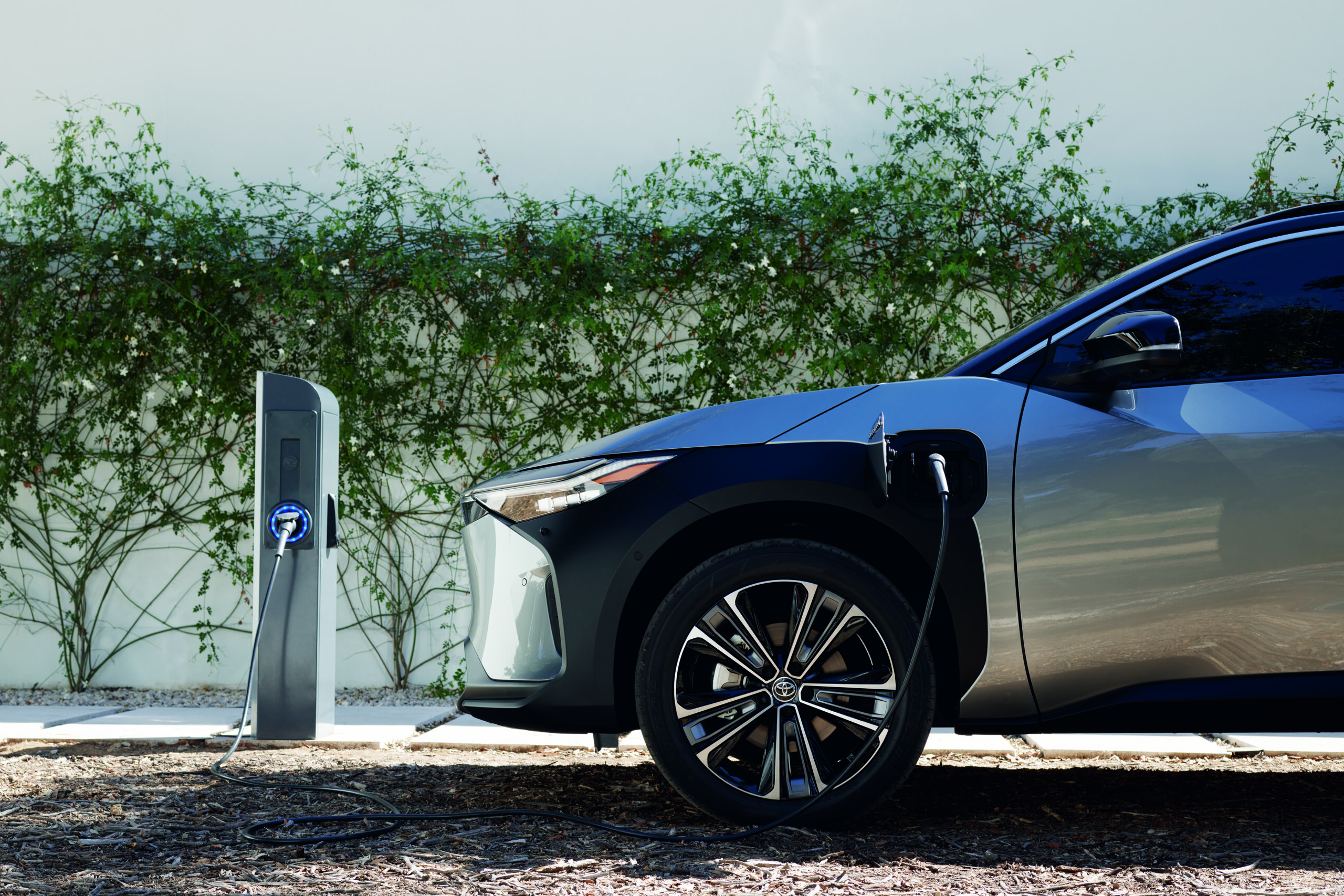 Metade dos portugueses pensa comprar um carro elétrico ou híbrido