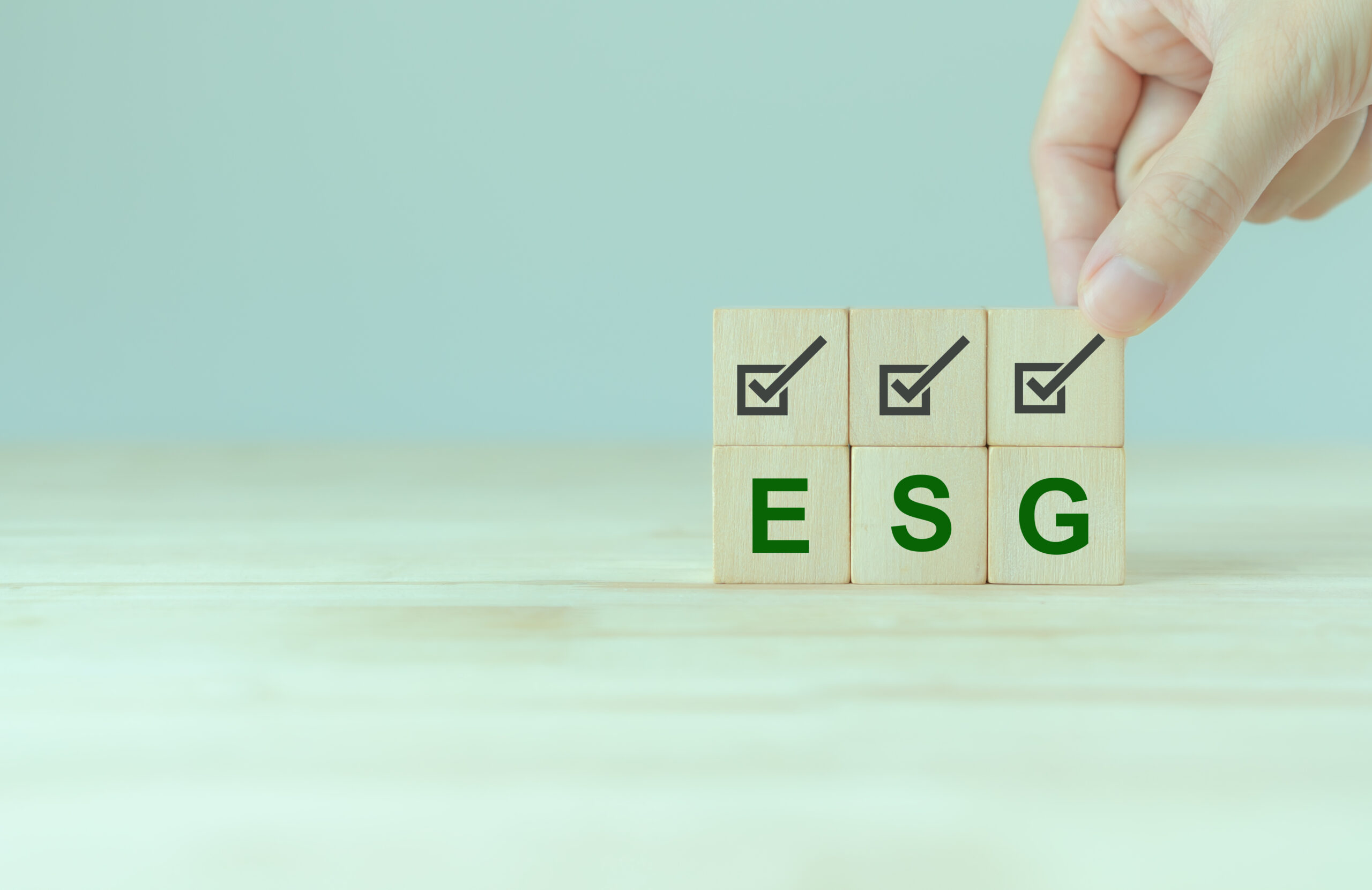 As empresas e a sustentabilidade como fator competitivo