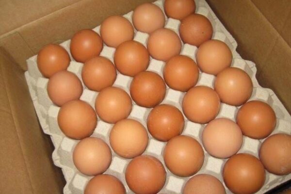 Preço do cabaz de alimentos subiu mais do que salário mínimo