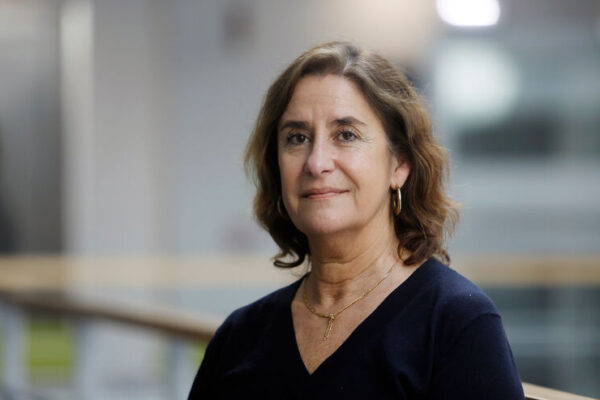 Mariana Matos: “O azeite é sempre melhor mais novo” | Prémio Nacional de Agricultura