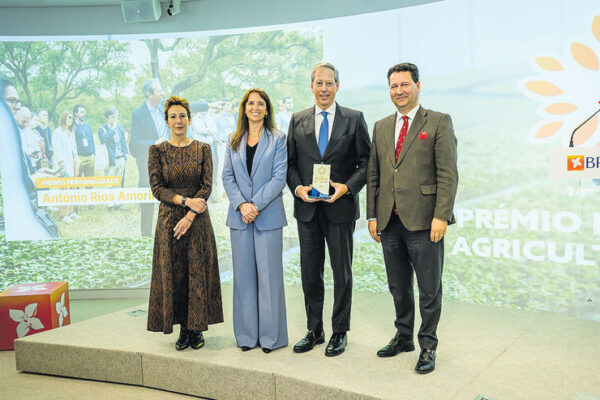António Rios de Amorim em busca do novo sobreiro | Prémio Nacional de Agricultura