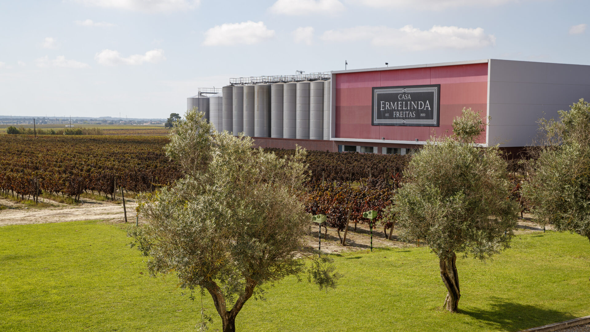 Cinco gerações de amor à terra