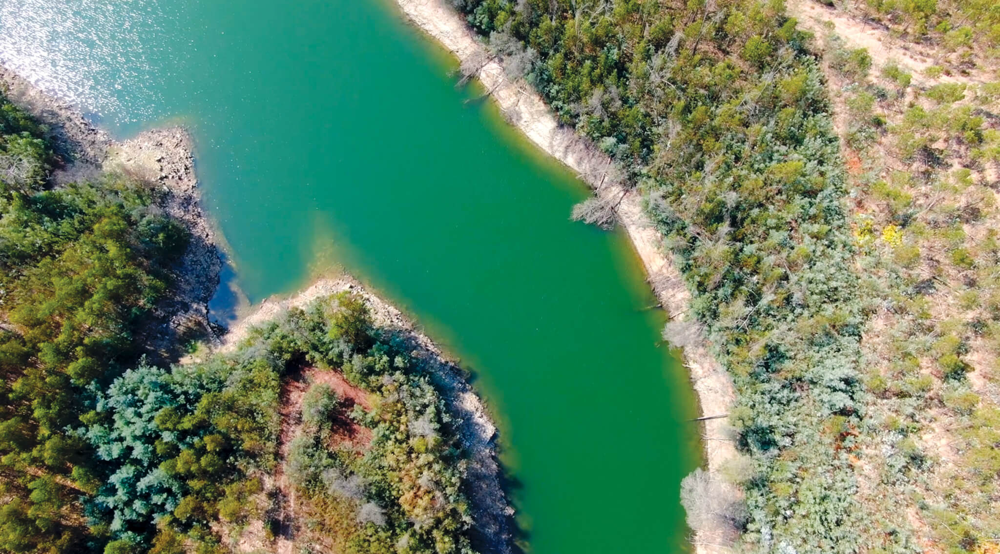 De Santa Comba Dão a Penacova