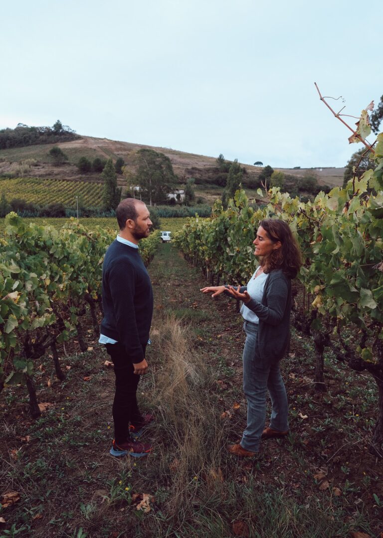 Quinta do Pinto