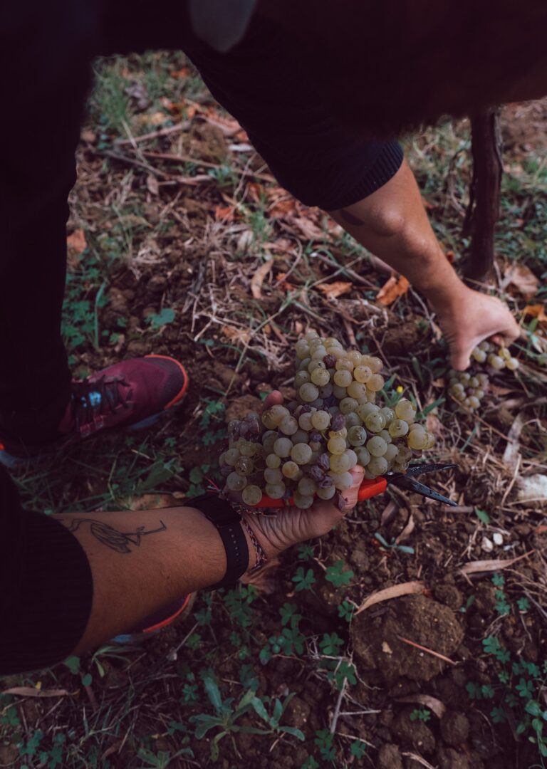 Quinta do Pinto