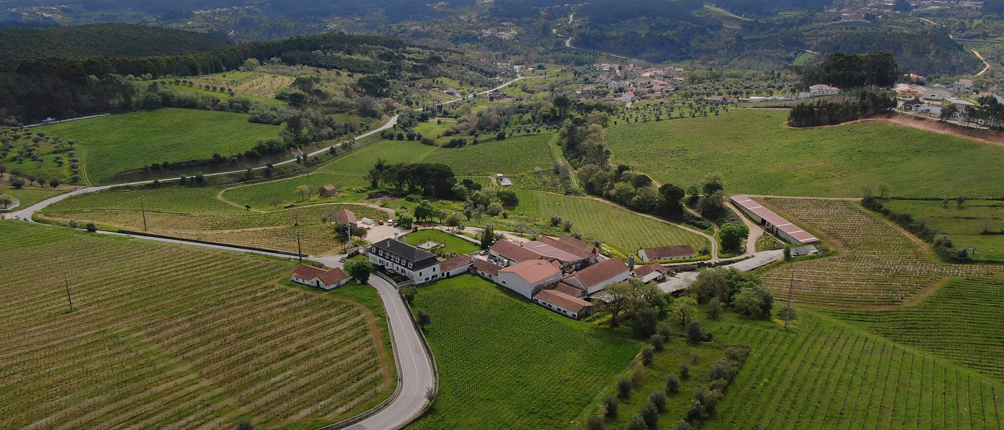 Quinta do Montalto