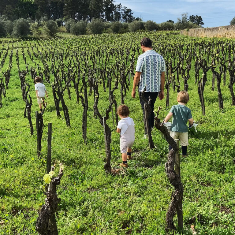 Quinta do Montalto
