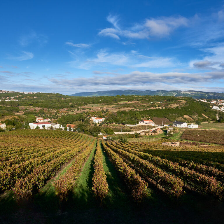 Quinta dos Capuchos