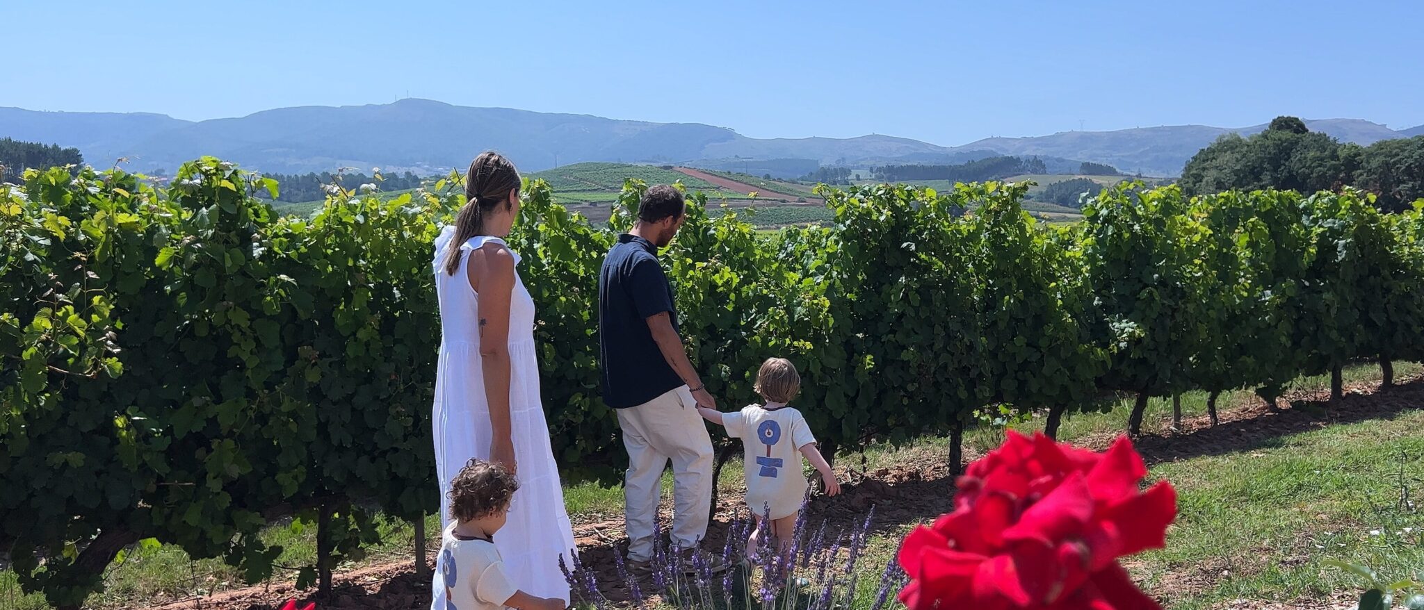 Quinta do Gradil