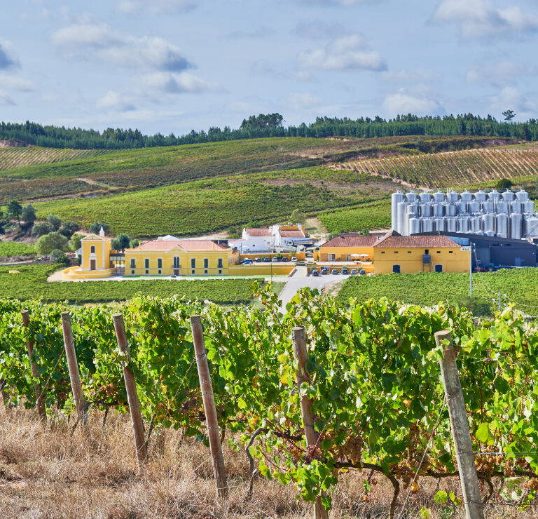 Quinta do Gradil
