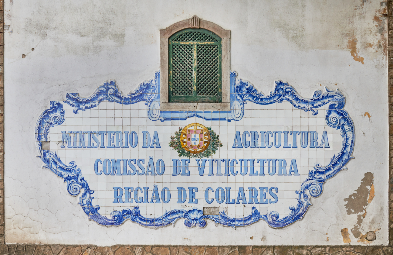 Adega Regional de Colares