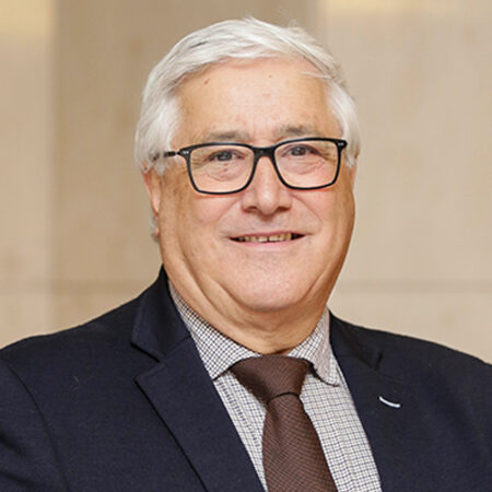Manuel de Lemos