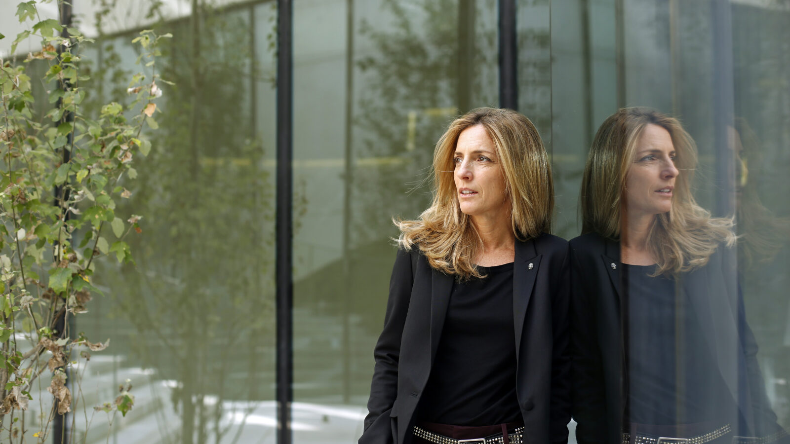 EDP quer acelerar energia solar e mobilidade elétrica nas empresas