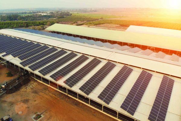 O sol indica o caminho