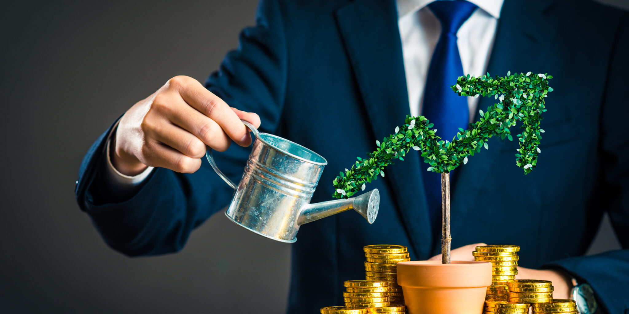 O investimento verde tem impacto