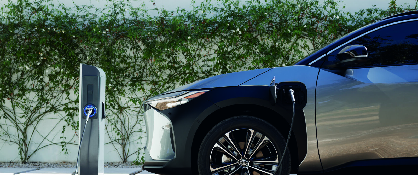 Half of Portuguese thinking of purchasing an electric or hybrid car