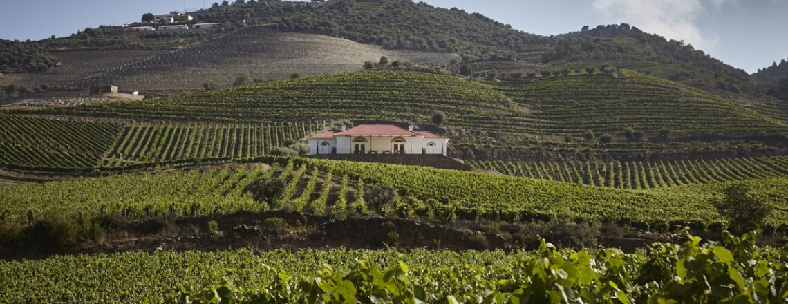 Conheça a Quinta do Bonfim e prove o vinho