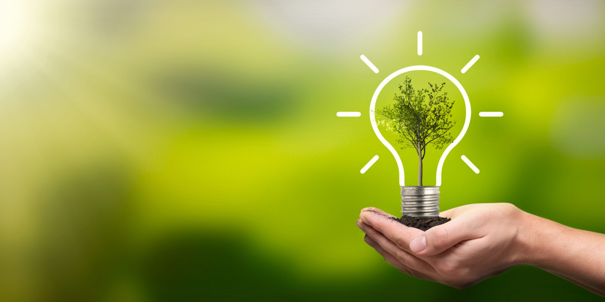 Sabe o que é energia verde?