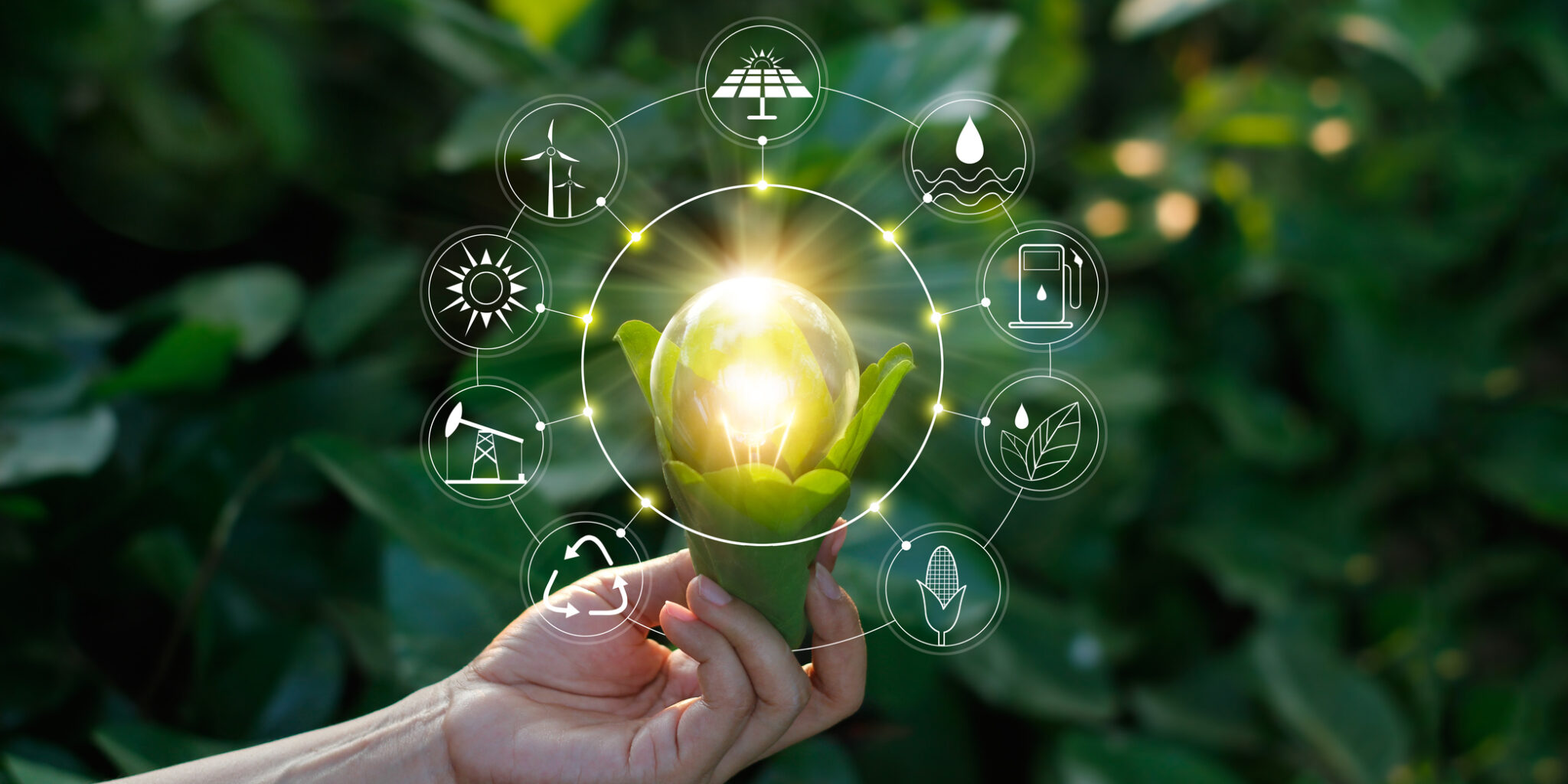 Saiba como investir de forma sustentável, além de rentável