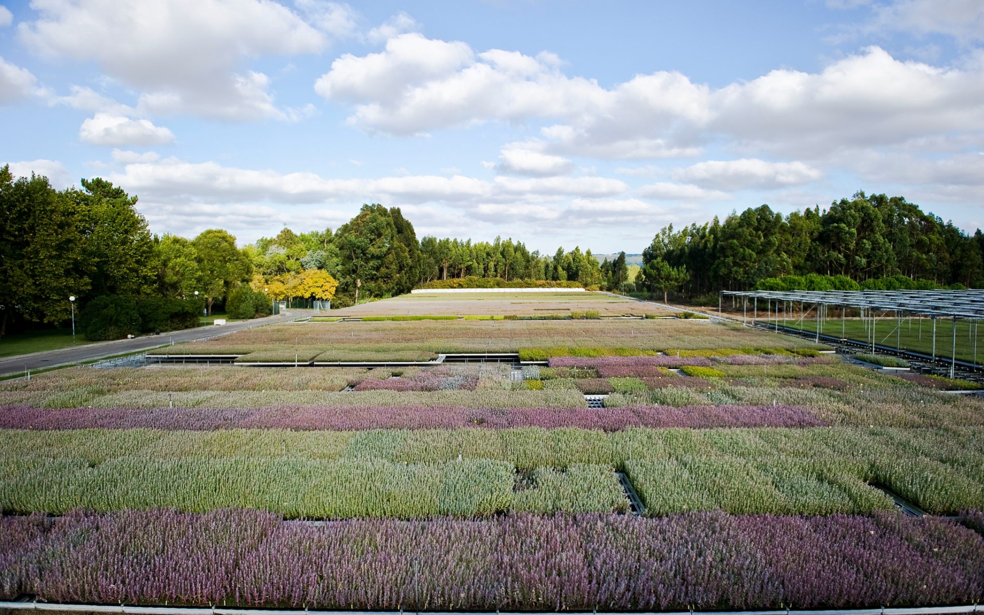 25th anniversary of the Viveiros do Furadouro tree nurseries