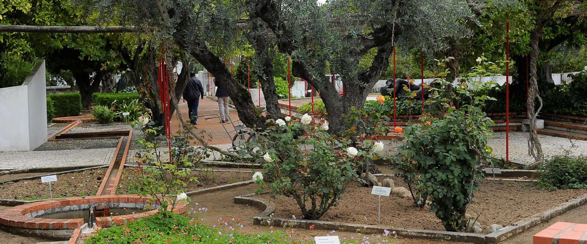 O Jardim-Horto é único. É um monumento vivo a Camões, uma homenagem ao escritor através das plantas que ele refere na sua obra