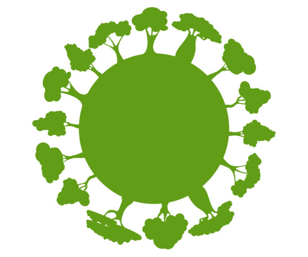 Promover a economia circular das florestas nas escolas