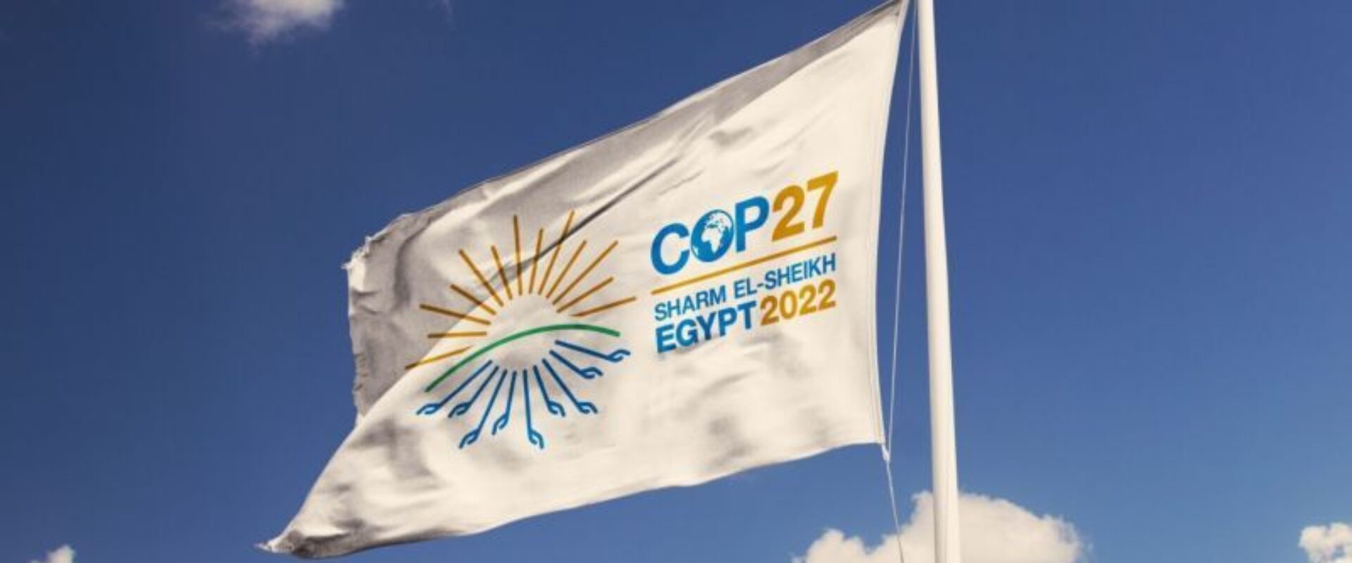 <strong>“Towards COP27” Manifesto</strong>