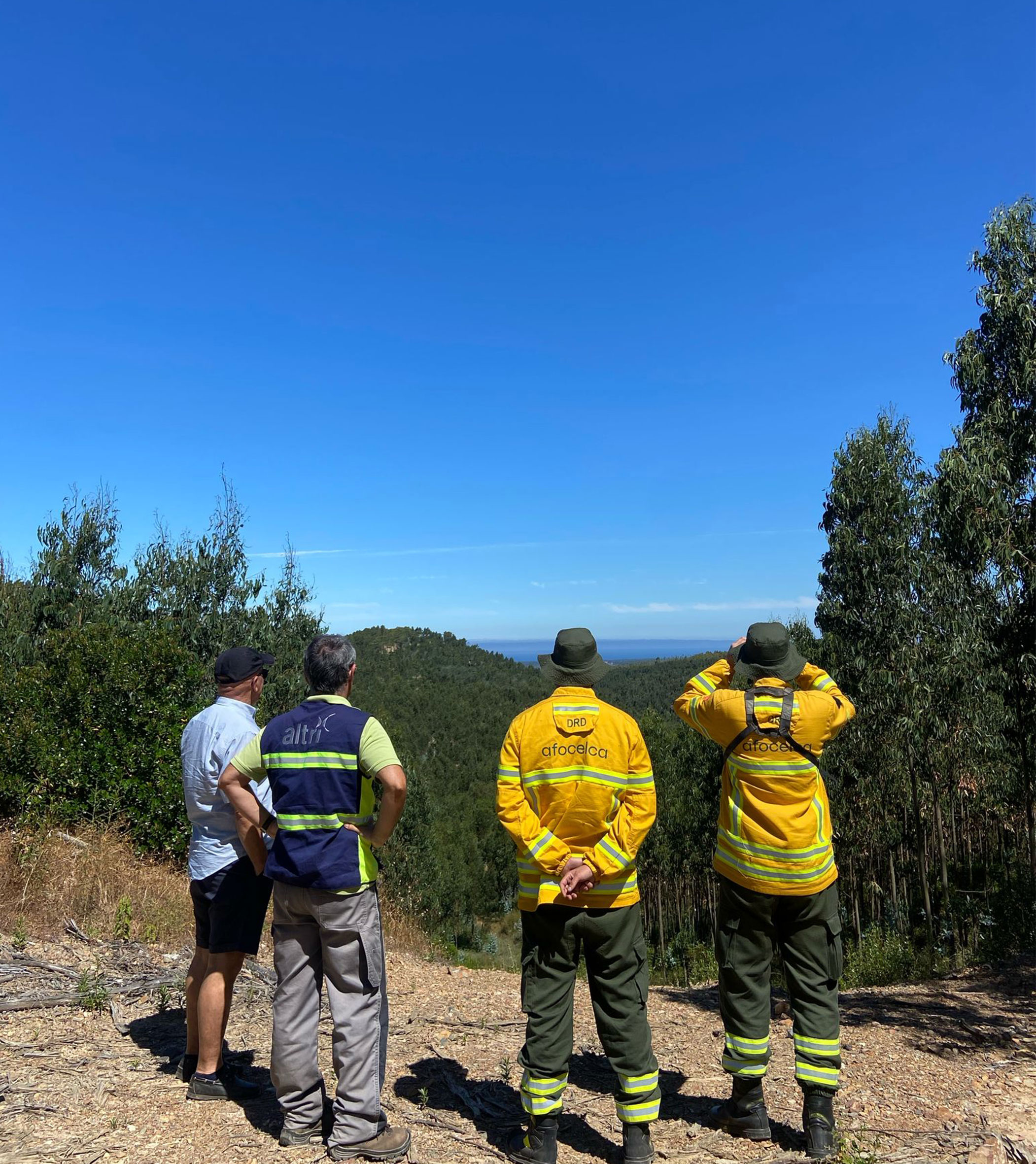 Trabalharoes da Altri a observar uma serra