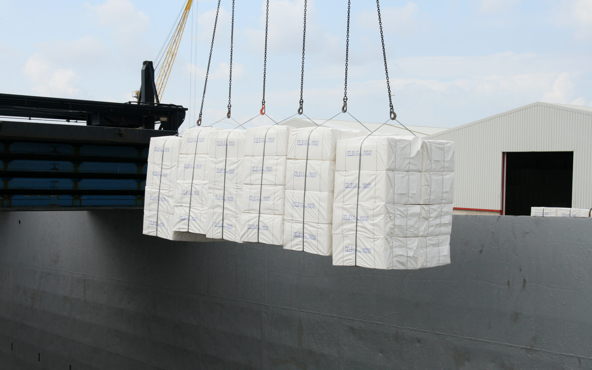 Resultado líquido da Altri atinge 12,4 milhões de euros nos primeiros noves meses de 2025