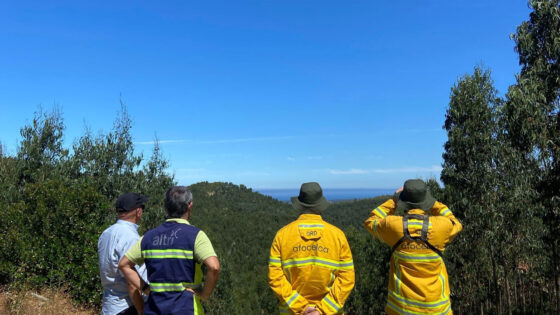 Como é que as relações humanas sustentam o futuro da floresta?