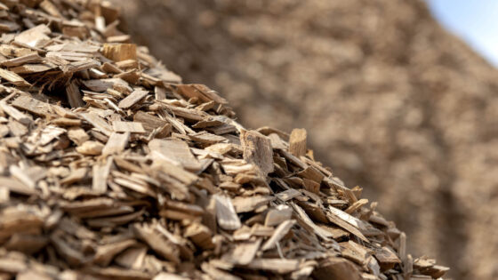 Inovação dá novo impulso à Altri