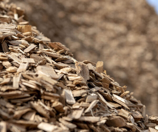 Inovação dá novo impulso à Altri