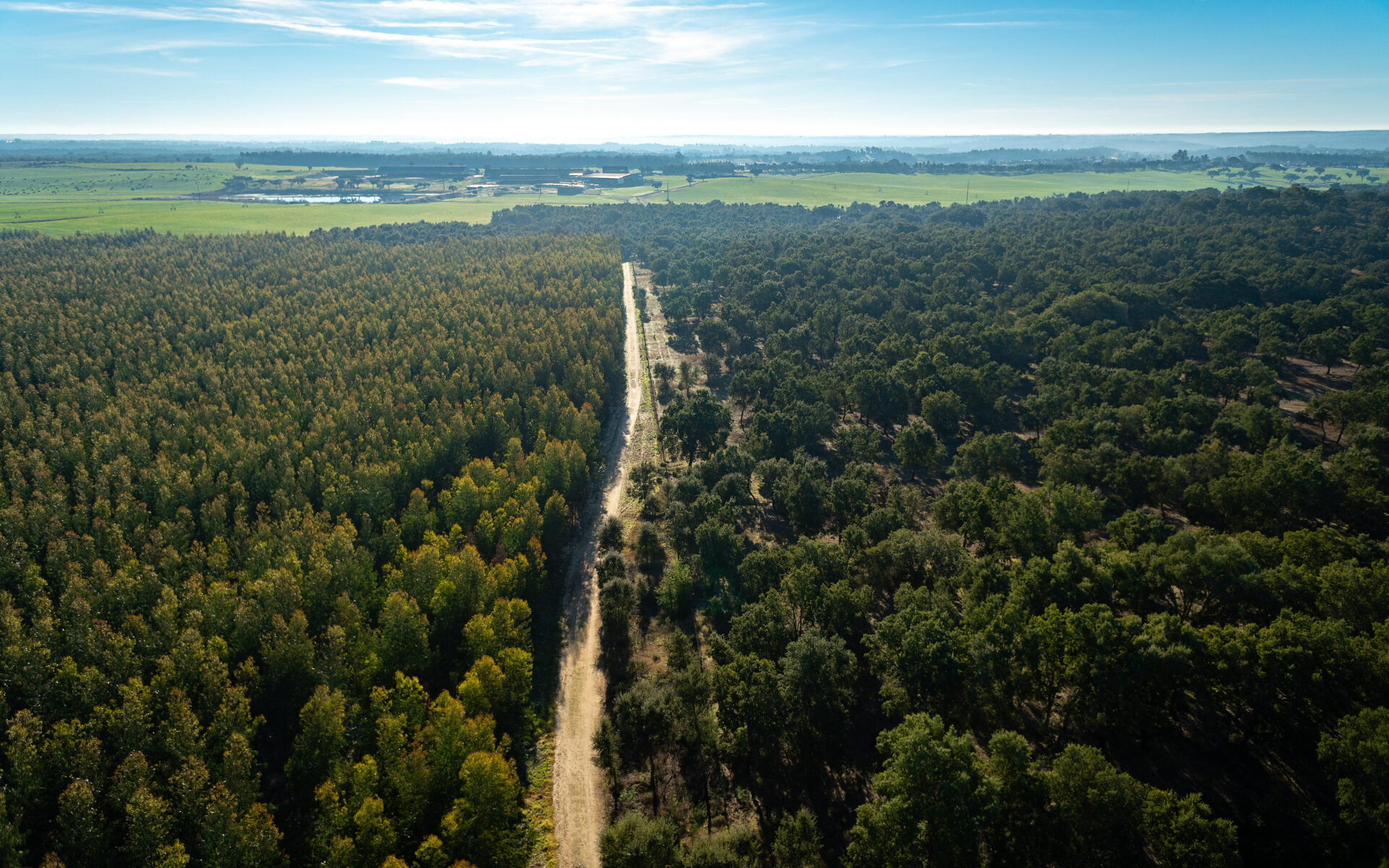 Duas décadas de compromisso com a floresta e a sustentabilidade