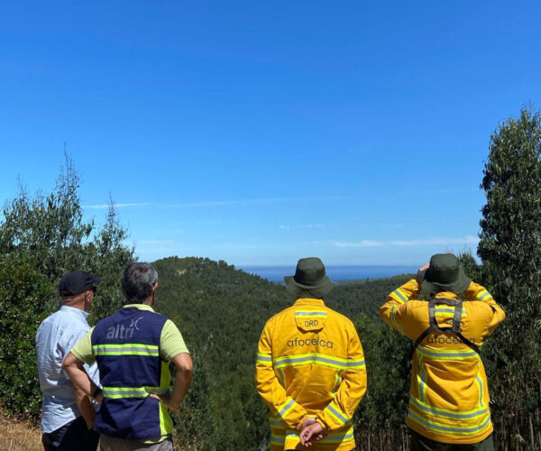 Como é que as relações humanas sustentam o futuro da floresta?