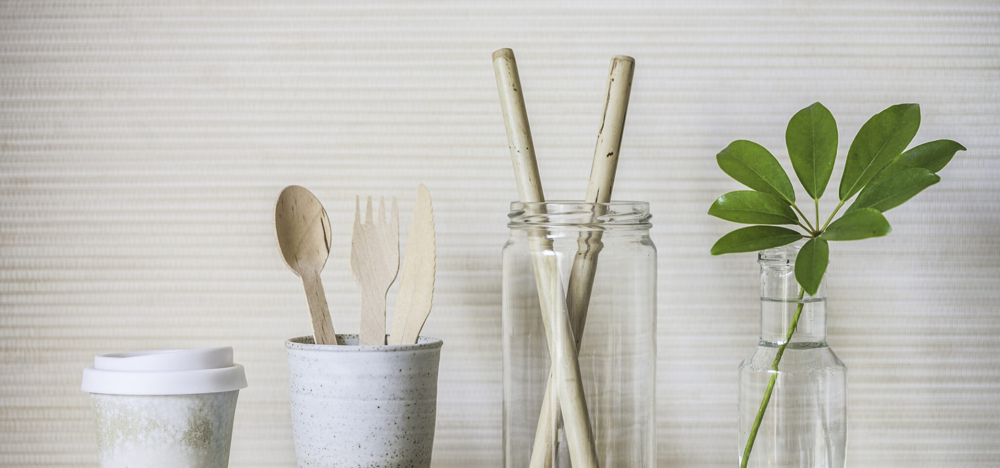 Sustentabilidade: o que fazer e escolher