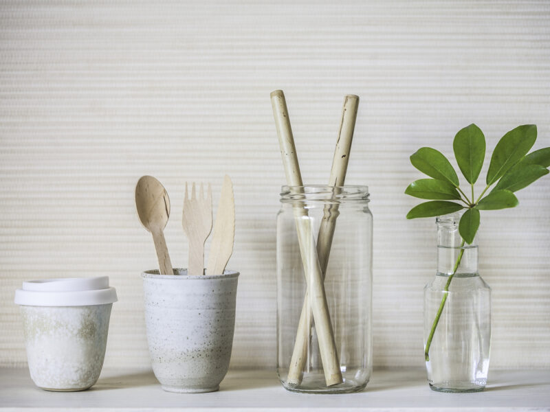 Sustentabilidade: o que fazer e escolher