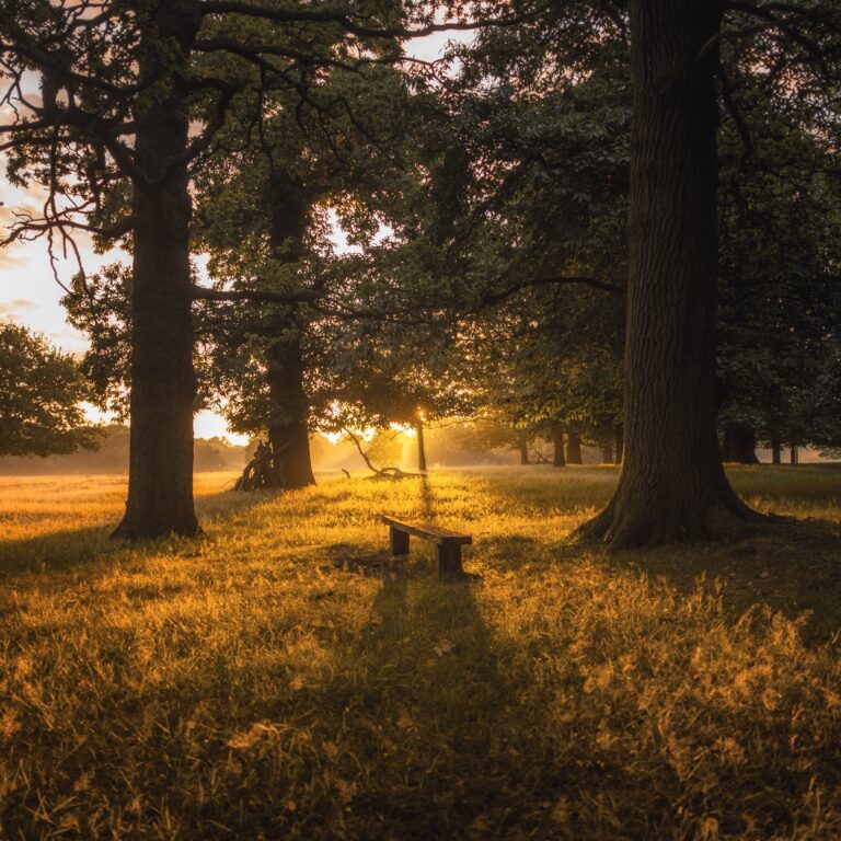Dez escapadinhas de norte a sul