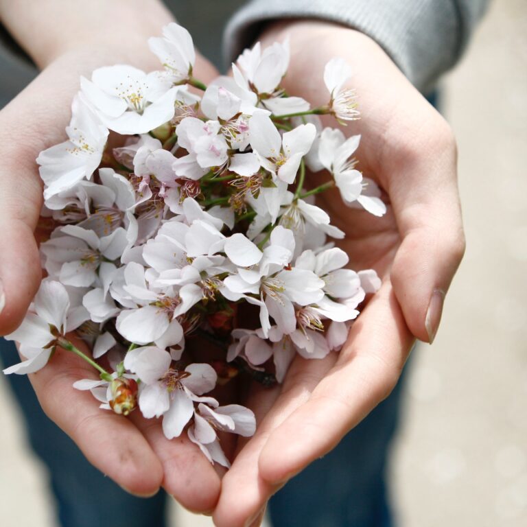 Como aliviar os sintomas das alergias