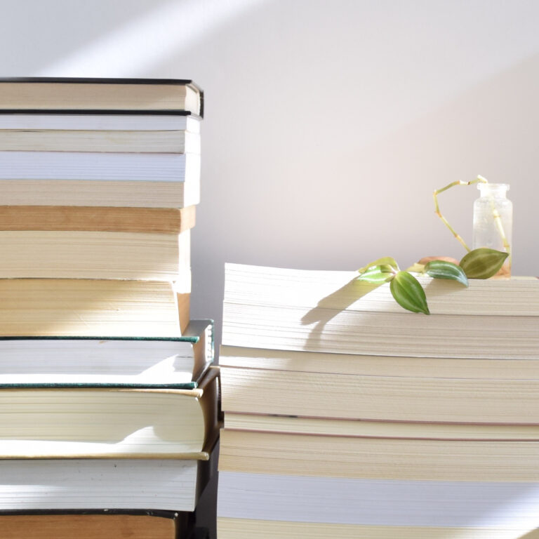 Os sete melhores livros para recuperar o hábito de leitura